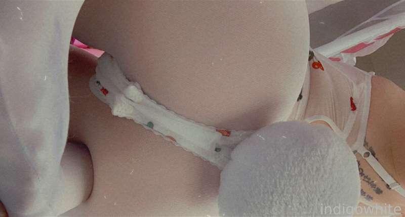 indigowhite image #173