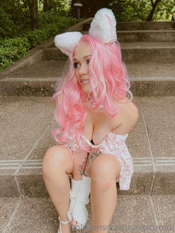 your pet wanna play please 🐱💦💦