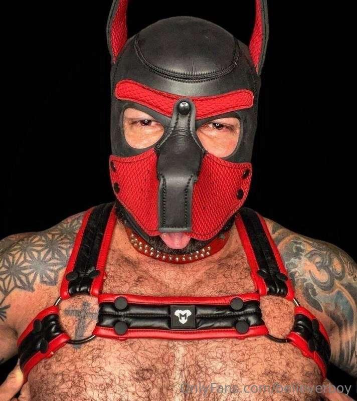 believerboy image #3