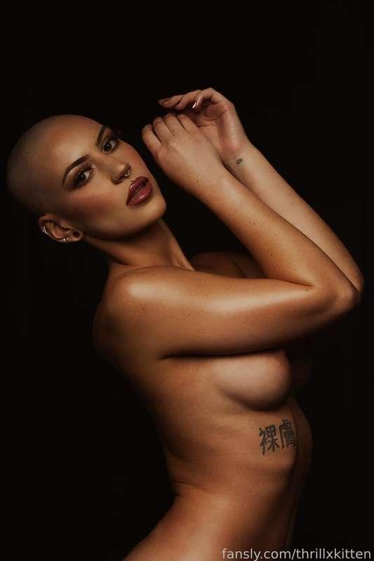thrillxkitten image #1