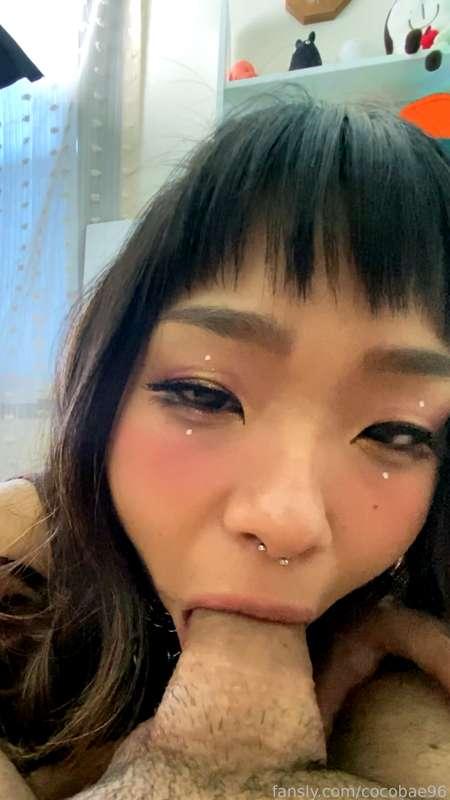 cocobae96 image #1