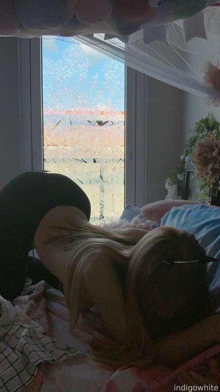 indigowhite image #92