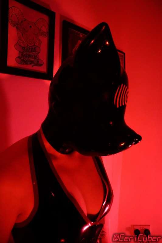cericyber image #2