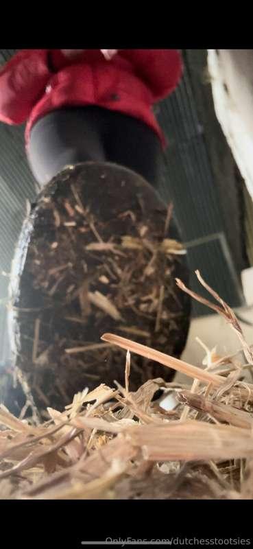 Hiding in the straw?