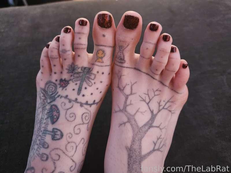 thelabrat image #1