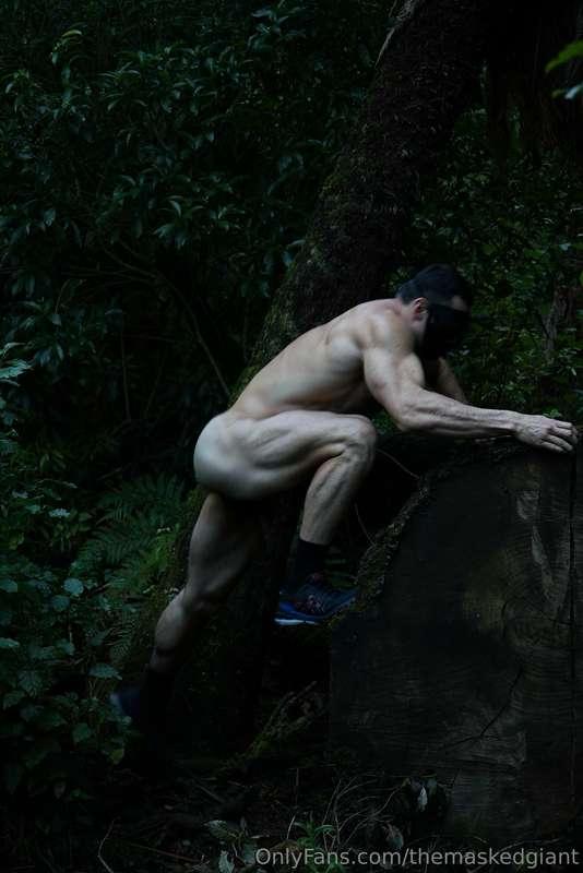 themaskedgiant main image