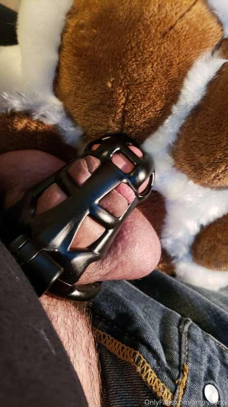 angrybarks image #0