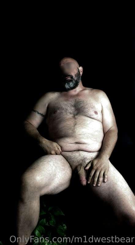 m1dwestbear image #6