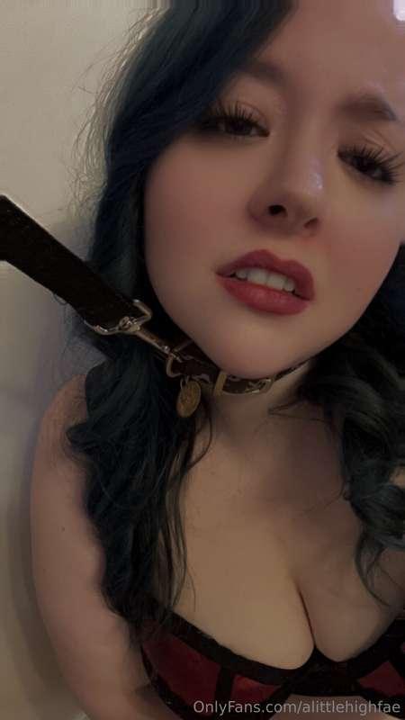 I hate when my leash gets pulled😒Was it my fault for being n..