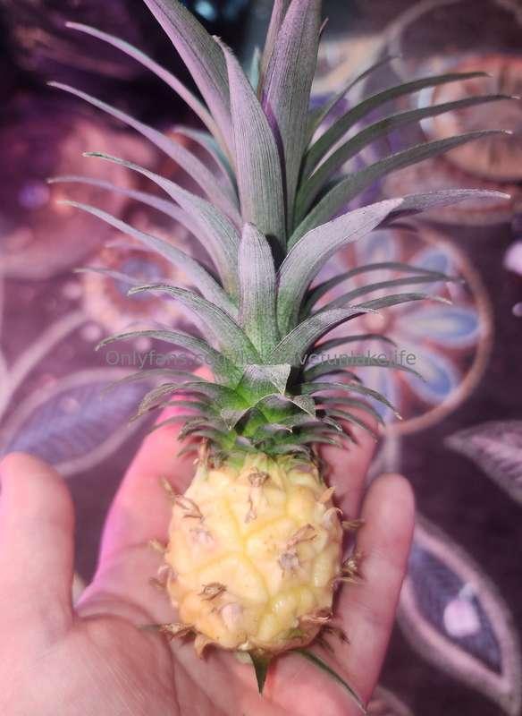 When you officially grow a baby pineapple 😍🍍 