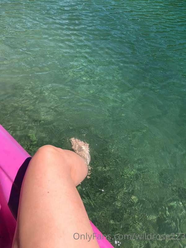 wildrose223 image #0