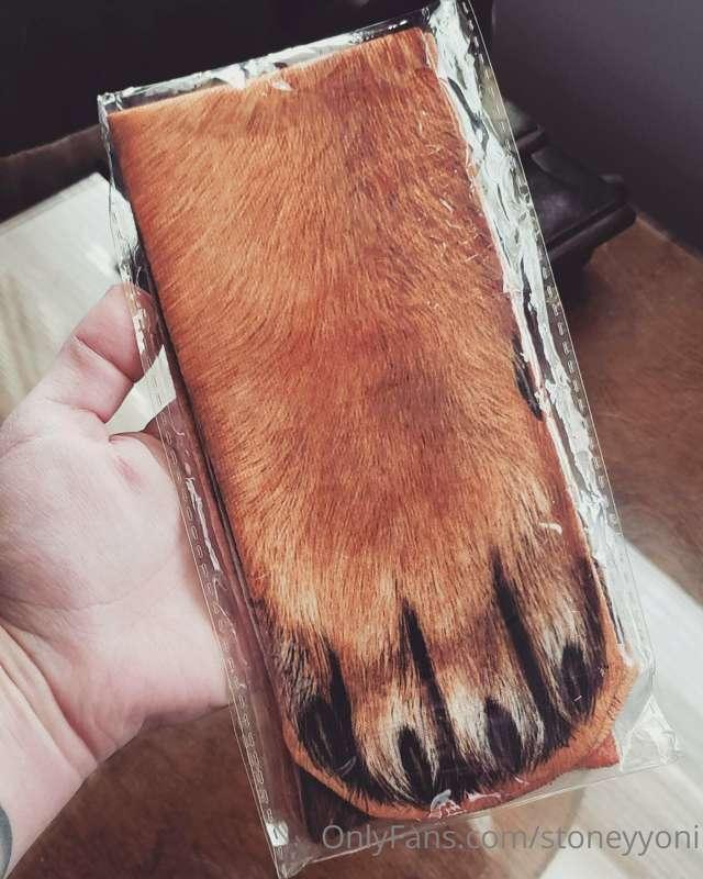 Who wants to see me try on these new dog socks I got for Yul..