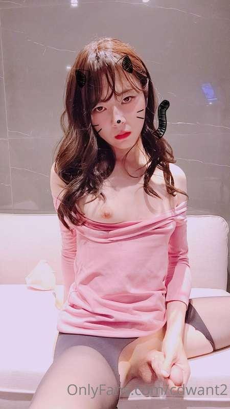 cdwant2 image #15