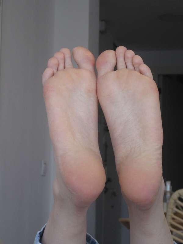 neolasoles image #10