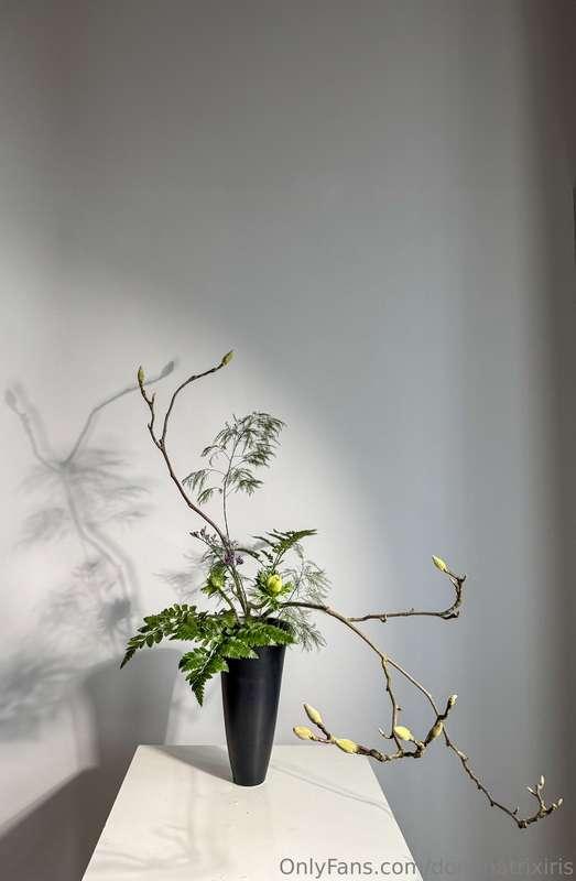 Taking a moment to appreciate the subtlety of simplicity tod..