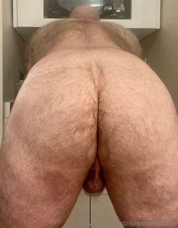 papaandthebear image #4