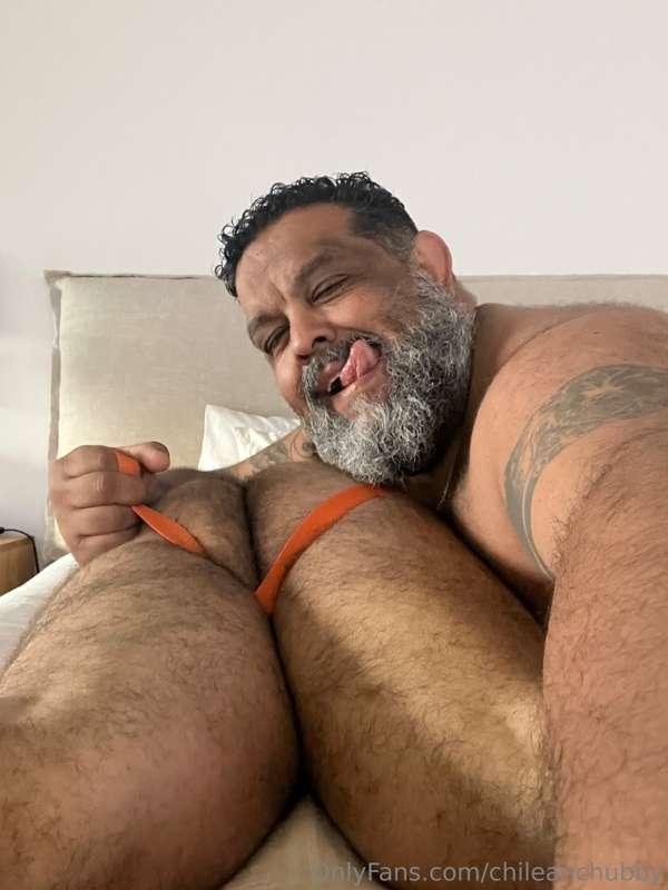 chileanchubby image #5