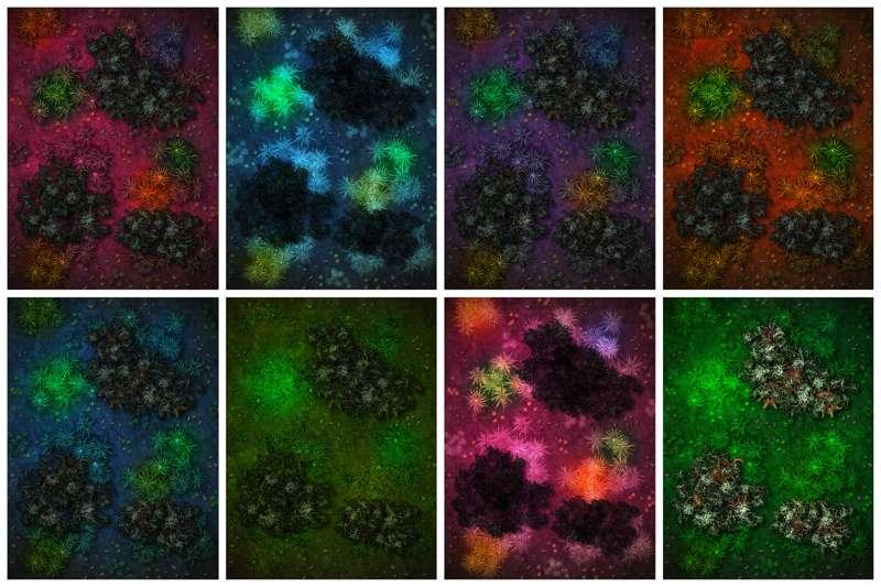 Rainbow Jungle - Alt Maps
