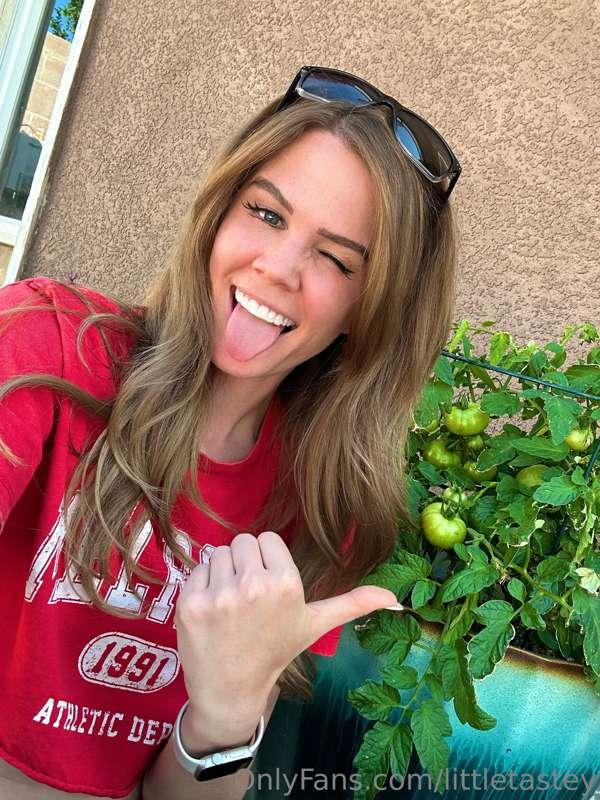 I have 11 tomatoes on my tomato plant! 11!!! I am so excited..