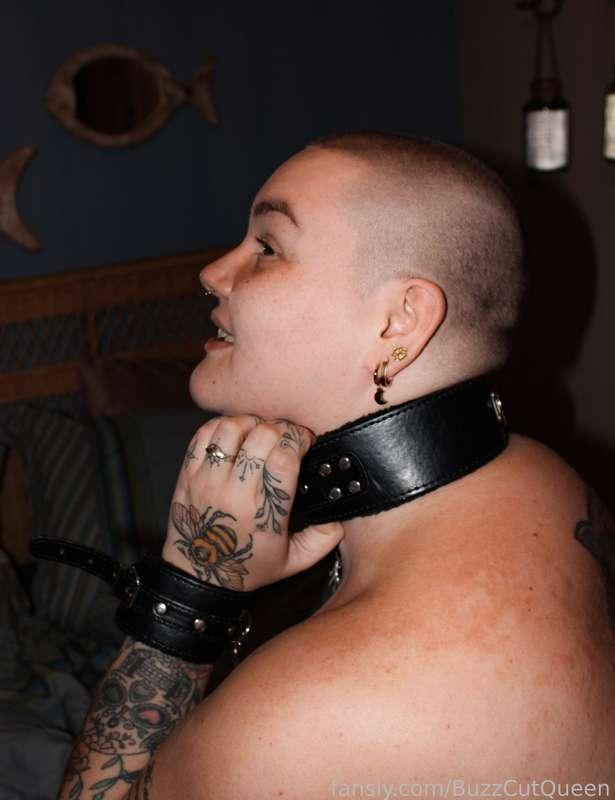 buzzcutqueen image #3
