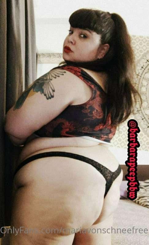 mariavonschneefree main image