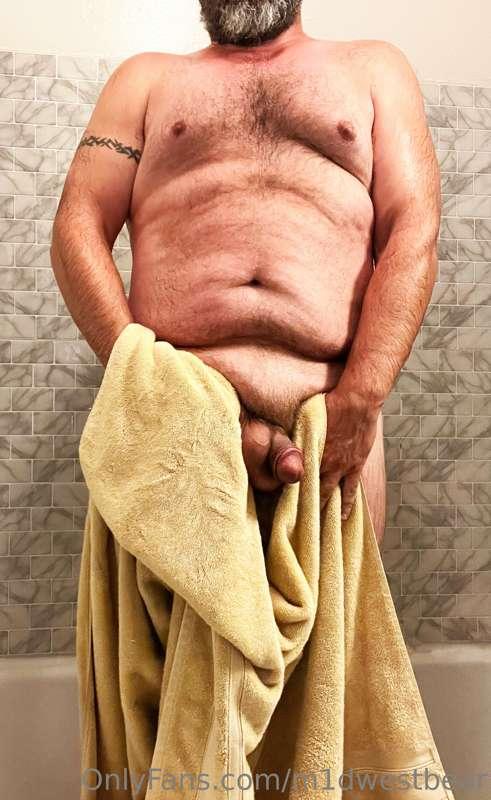 m1dwestbear image #11