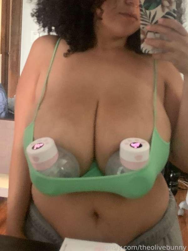 theolivebunny image #1