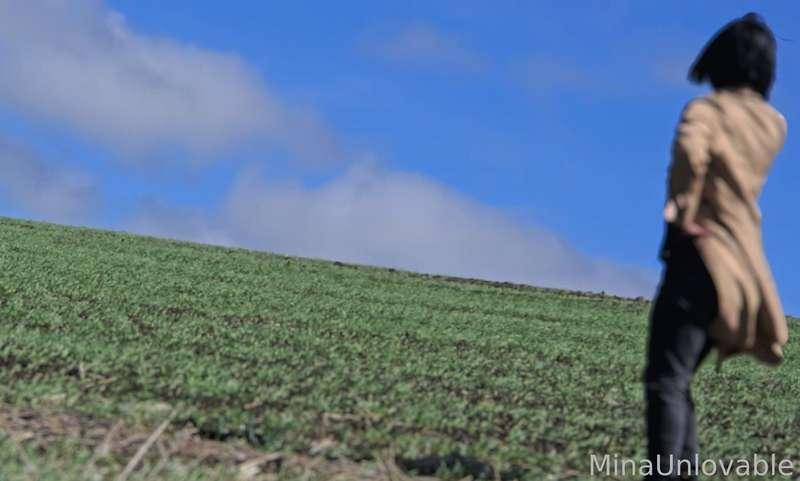 user377072094208335872 image #37