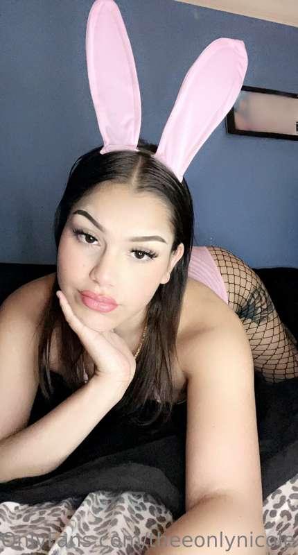 your favorite bunny 🫶🏼