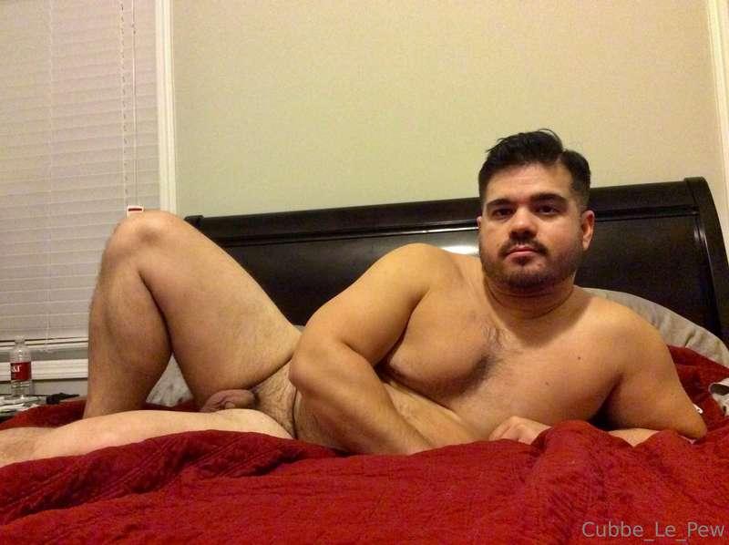 cubbe_le_pew image #4