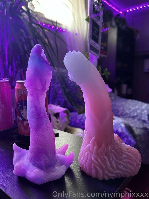 Which one do you want me to film with first this week?