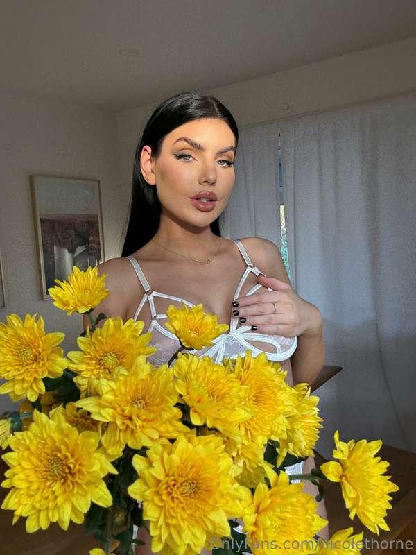 💛💐🌟🌻🌼