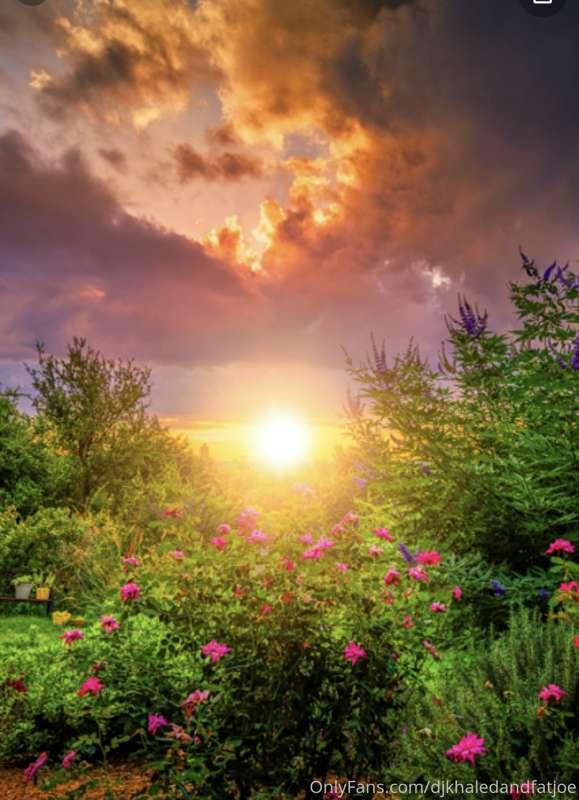 The light is Love God is love 🌞❤️