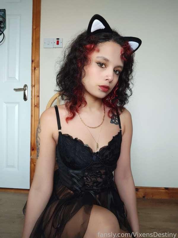 vixensdestiny image #3