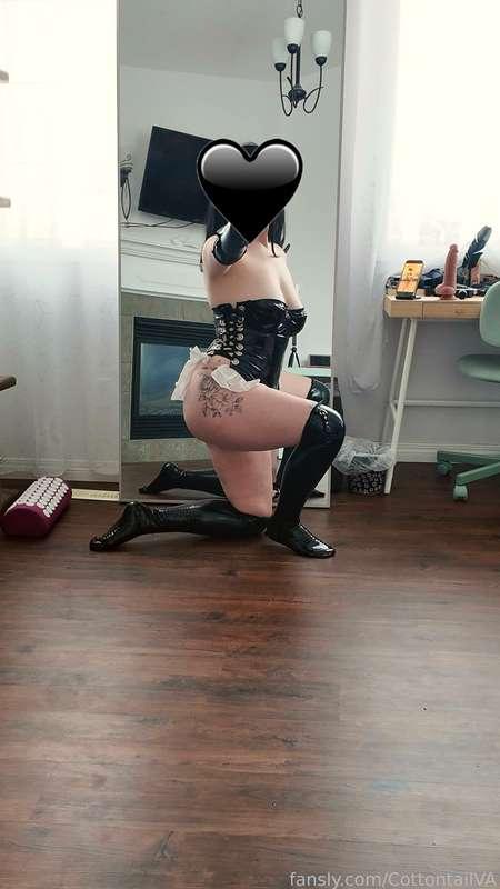 cottontailva image #4