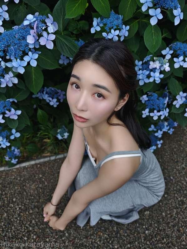 🪻💜