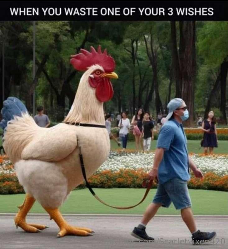 💀 ☠️ 😂😂