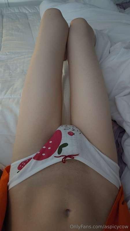 aspicycow image #1
