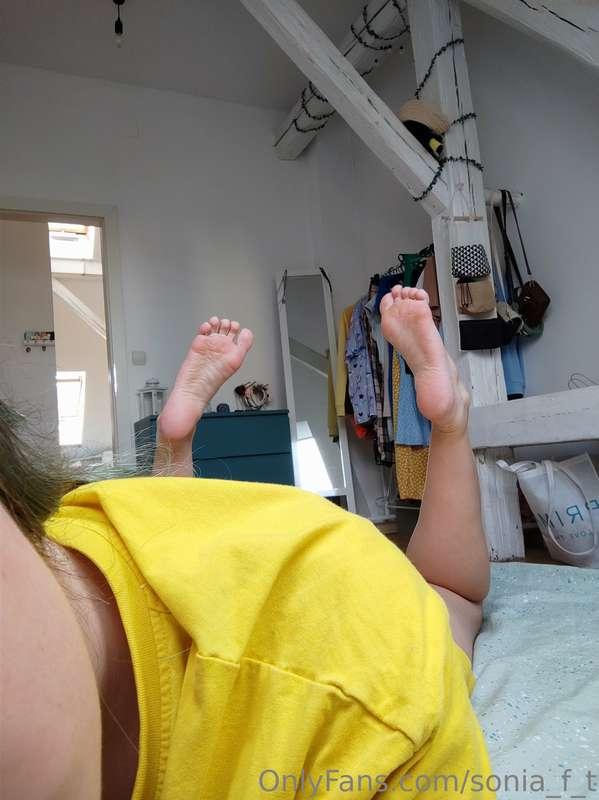 My slave is lost, and now my feet are bored. Would you like ..