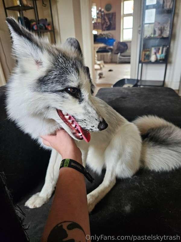 pastelskytrash image #0