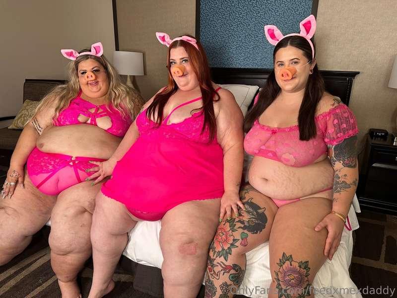 three {not so little} pigs 🐖 filmed this vid for HFG MULTIME..