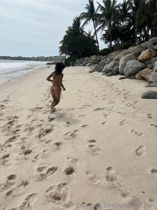 🐚