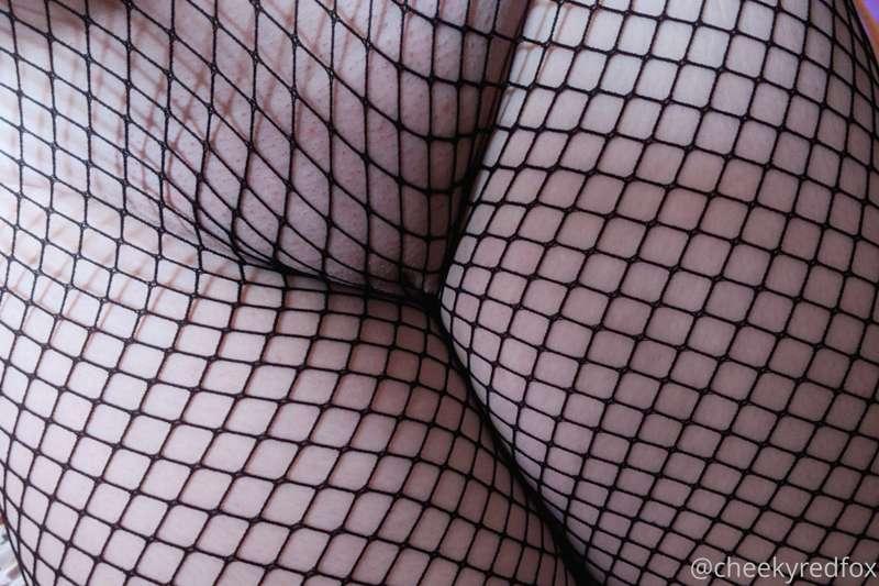 cheekyredfox image #1