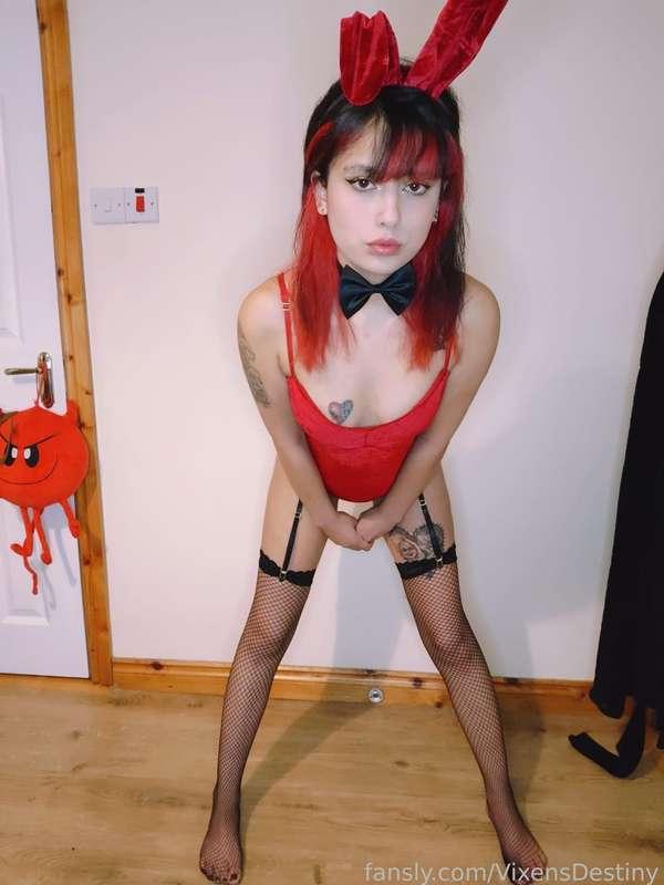 vixensdestiny image #1