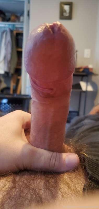 Sent this in a message and didn't get a great response. :( c..