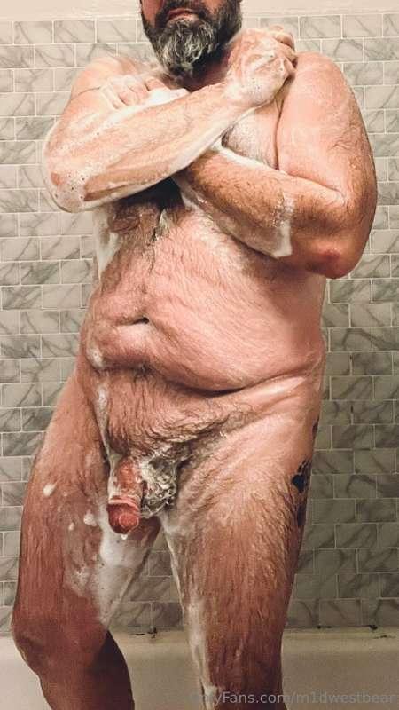 m1dwestbear image #2
