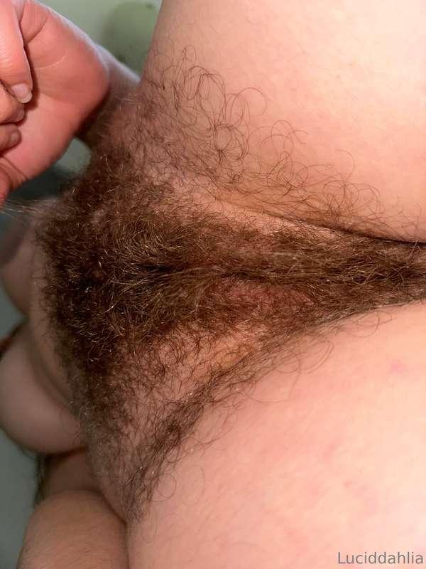 bush