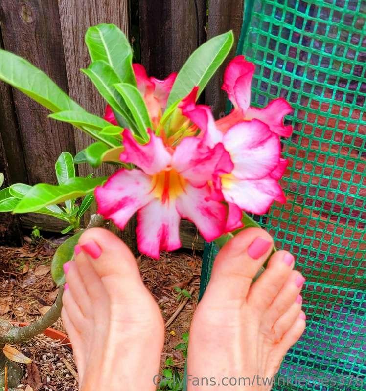 Desert rose and some toes 👣 #naturelovers #desertrose #toes ..