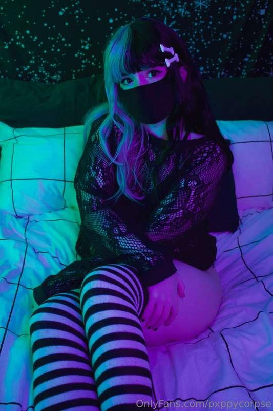 pxppycorpse image #7