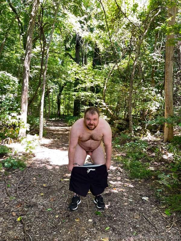 bowsercub image #0